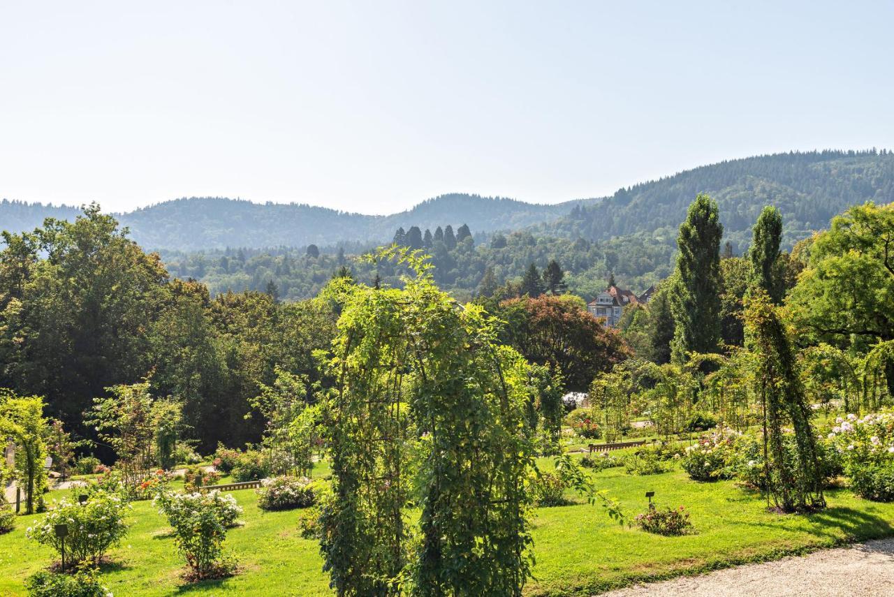 Merkurblick Apartment *
